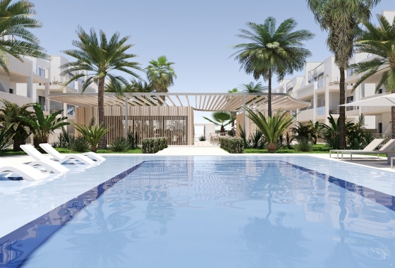 Nouvelle construction - Appartement - san cayetano