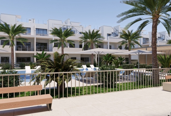Nouvelle construction - Appartement - san cayetano