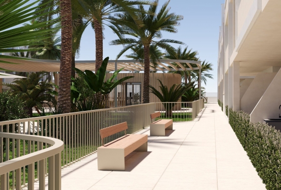 Nouvelle construction - Appartement - san cayetano