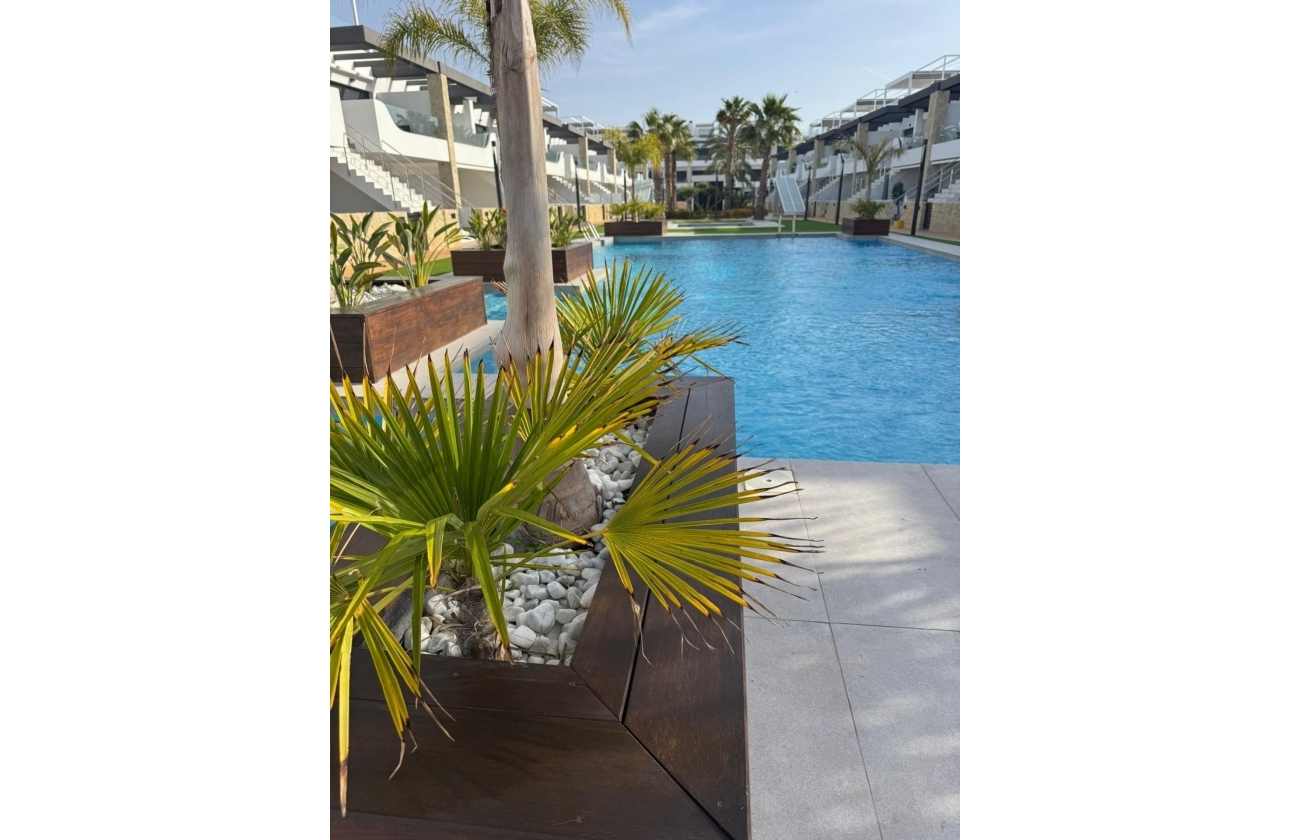 Resale - Apartment - Orihuela Costa - Rocio del Mar