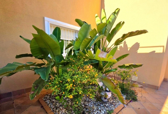 Resale - Villa - Dehesa de campoamor - Campoamor