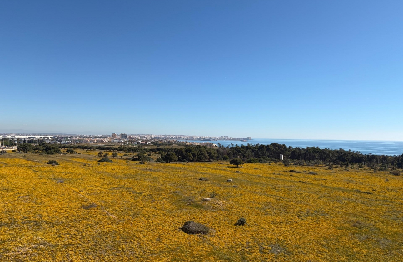 Resale - Penthouse - Torrevieja - Punta prima