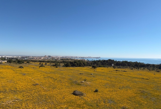 Resale - Penthouse - Torrevieja - Punta prima