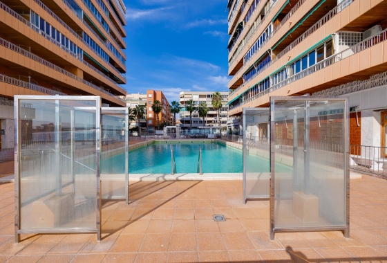 Long Term Rental - Apartment - Torrevieja - Playa del Acequión