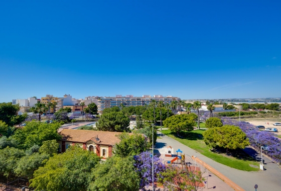 Resale - Apartment - Torrevieja - Playa del Acequión