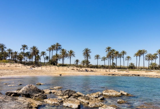 Wiederverkauf - Bungalow - Torrevieja - Playa de los Náufragos
