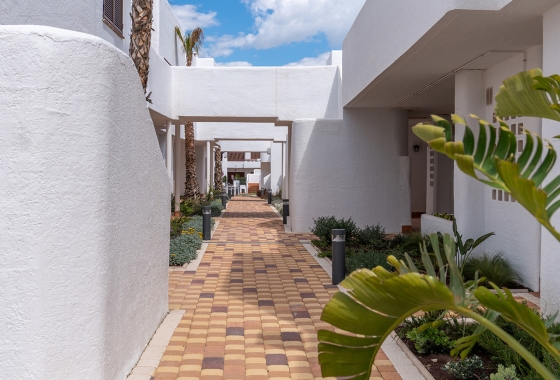 Nouvelle construction - Bungalow - Pulpí (Almería) - Spain