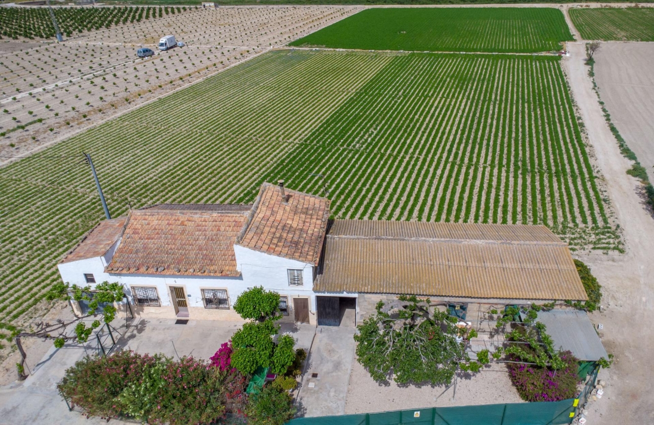 Wiederverkauf - Country House - Orihuela - Desamparados-Hurchillo-Torremendo