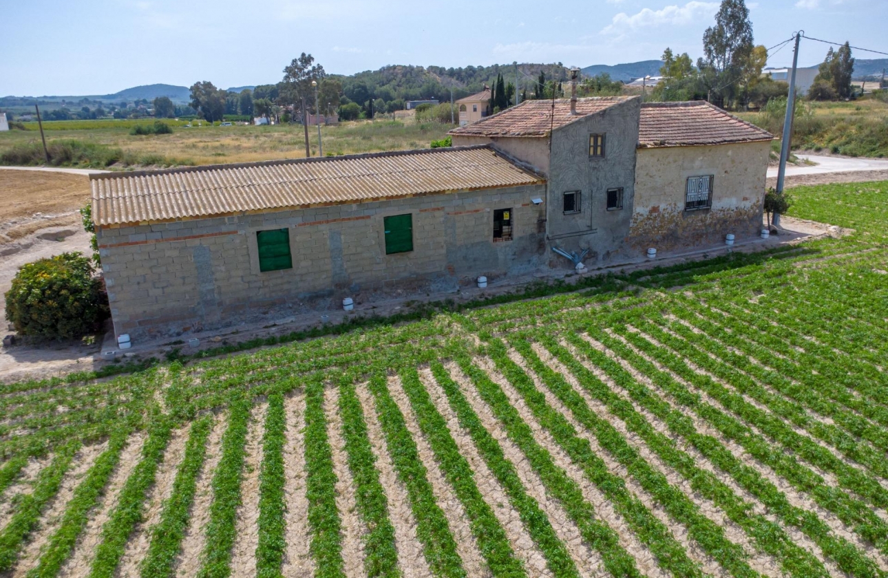 Wiederverkauf - Country House - Orihuela - Desamparados-Hurchillo-Torremendo