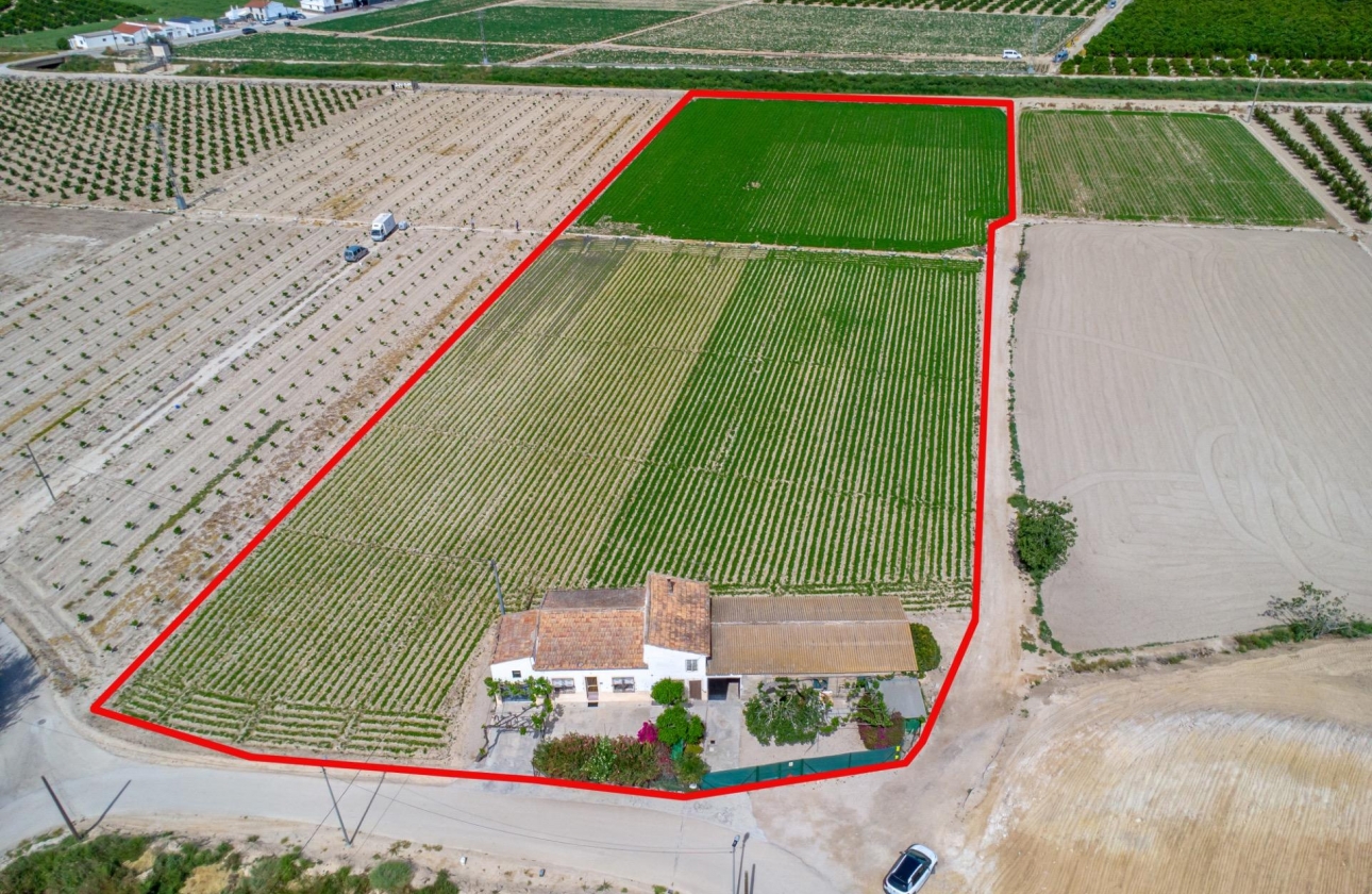 Wiederverkauf - Country House - Orihuela - Desamparados-Hurchillo-Torremendo
