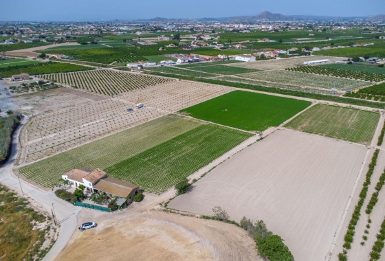 Wiederverkauf - Country House - Orihuela - Desamparados-Hurchillo-Torremendo